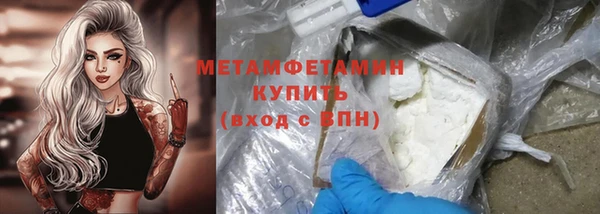 шишки Белокуриха