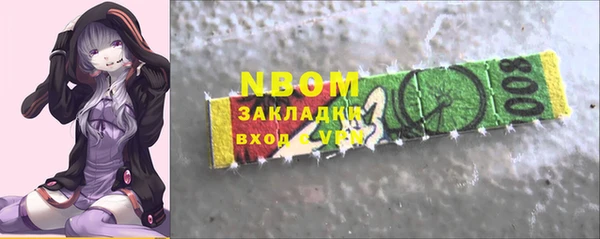 гидра Богородицк
