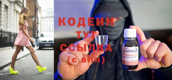 шишки Белокуриха