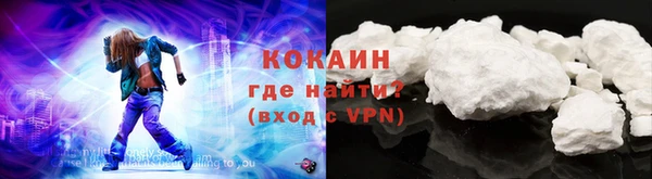 гидра Богородицк