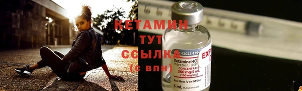 шишки Белокуриха