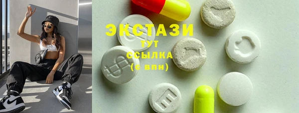 гидра Богородицк