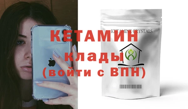 шишки Белокуриха