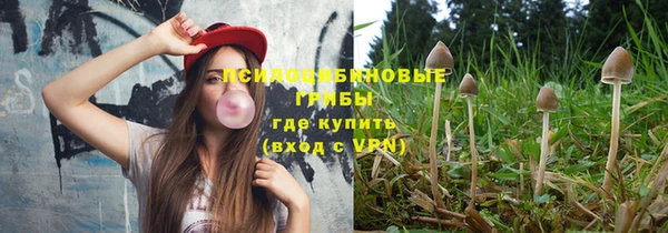 гидра Богородицк