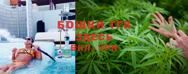 гидра Богородицк