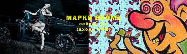 гидра Богородицк