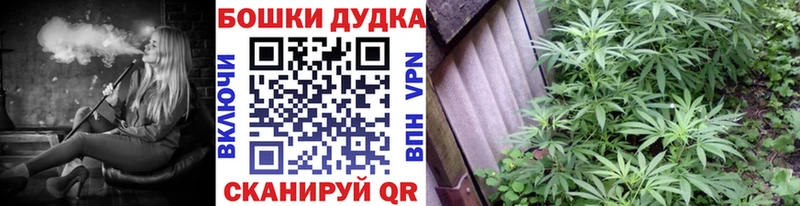 Конопля семена  Болгар 